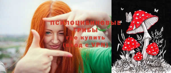 метадон Богородицк