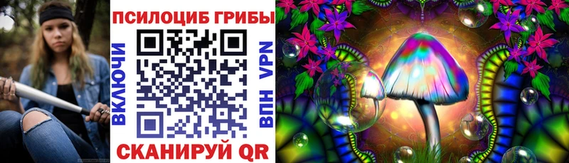 купить наркоту  Кимовск  Галлюциногенные грибы Cubensis 